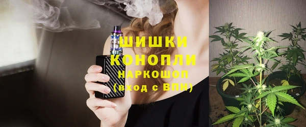 твердый Коряжма