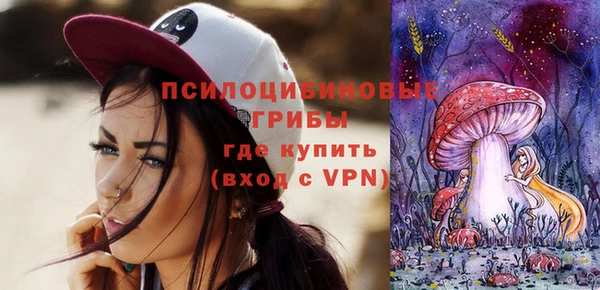 твердый Коряжма
