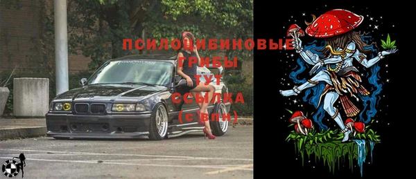 a pvp Козловка