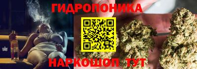 каннабис Кингисепп