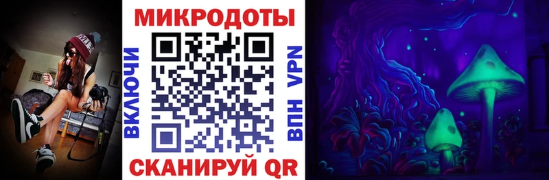 KRAKEN зеркало  Кудрово  Псилоцибиновые грибы прущие грибы 